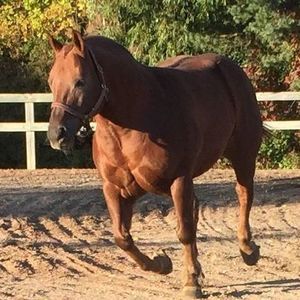 Meet your Posher, Mike